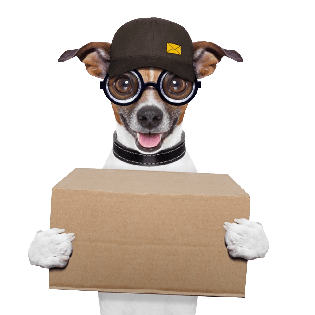 Bilgi Bloğu Resmi 01